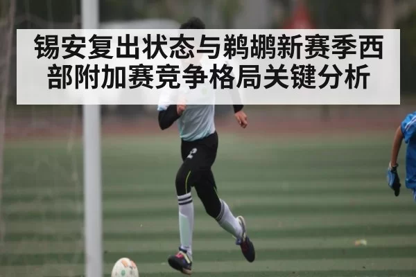 锡安复出状态与鹈鹕新赛季西部附加赛竞争格局关键分析